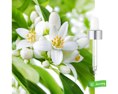 Neroli Accord – Аккорд Нероли