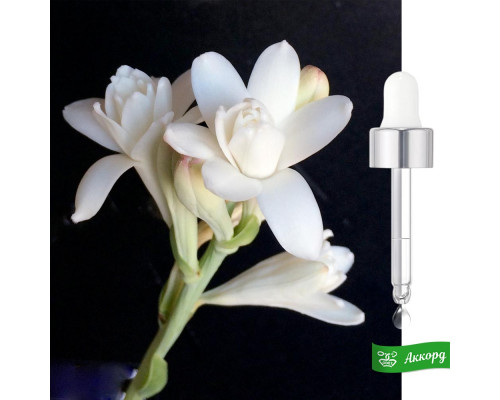 Tuberose Accord – Аккорд Тубероза