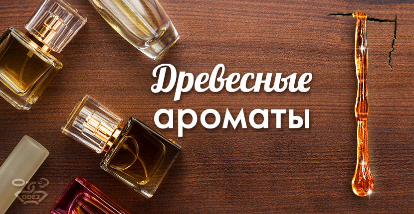 Какие бывают ароматы? Разбираемся в классификации и нотах - malino-v.ru